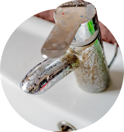 Coastal Water Solutions Near Me